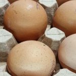 Giet het water niet uit na het koken van eieren: een vergeten truc voor je moestuin giet-het-water-niet-uit-na-het-koken-van-eieren.jpg